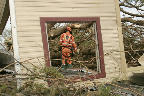 How Our Tree Care Process Works  in  Roseland, LA